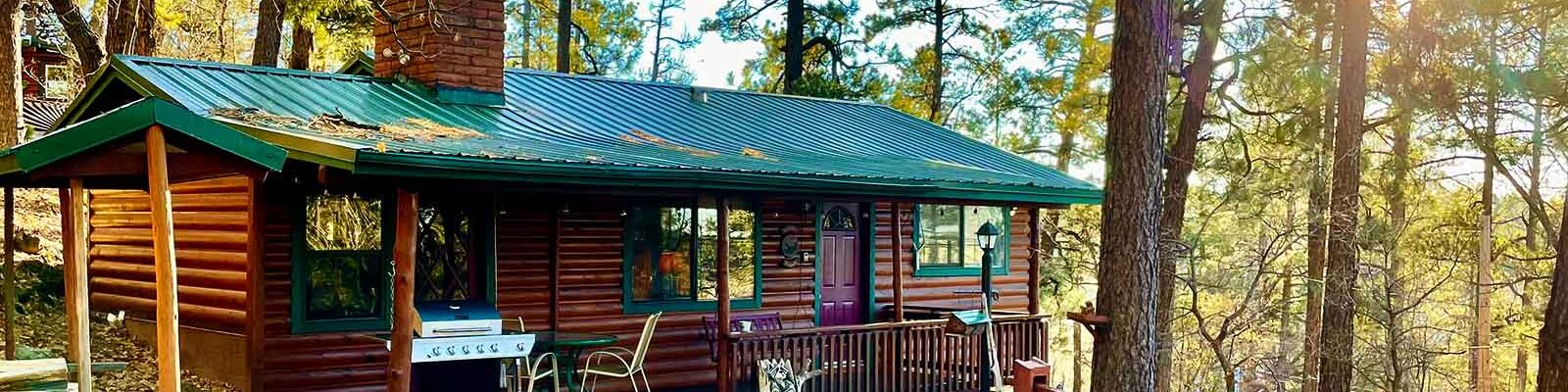 Pinetop Vista Cabins, Cabin 2 the Wildlife Cabin - Outside View