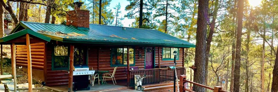 Pinetop Vista Cabins, Cabin 2 the Wildlife Cabin - Outside View